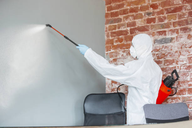 Best Crawl Space Mold Remediation  in China, TX