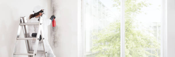 Best Real Estate Mold Inspection  in China, TX